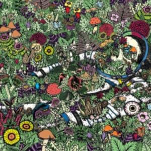 Oozing Wound - Whatever Forever in the group VINYL / Hårdrock at Bengans Skivbutik AB (2060758)