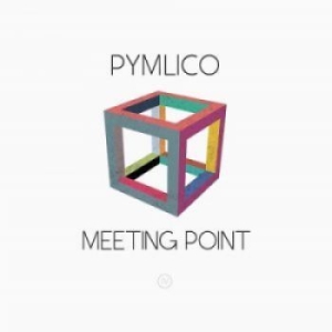 Pymlico - Meeting Point in the group CD / Rock at Bengans Skivbutik AB (2061061)
