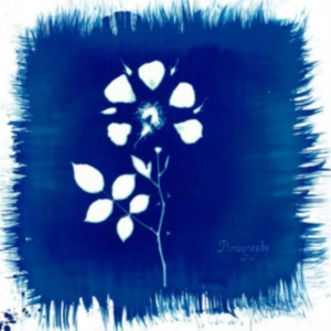 Painted Zeros - Floriography in the group CD / Pop-Rock at Bengans Skivbutik AB (2062536)