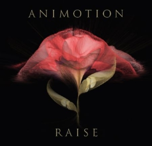 Animotion - Raise Your Expectations in the group CD / Pop at Bengans Skivbutik AB (2063983)