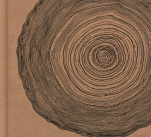 Ó - Year Of The Rabbit (Deluxe Cd in the group CD / Pop-Rock at Bengans Skivbutik AB (2071565)