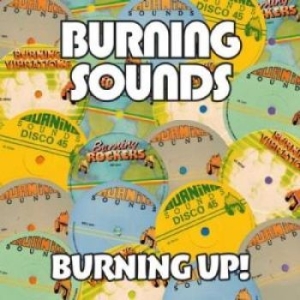 Blandade Artister - Burning Up! (4 Cd) in the group CD / Reggae at Bengans Skivbutik AB (2072460)