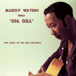 Waters Muddy - Sings Big Bill in the group OTHER / 10399 at Bengans Skivbutik AB (2074006)