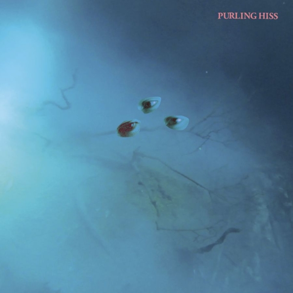 Purling Hiss - High Bias in the group VINYL / Bestsellers at Bengans Skivbutik AB (2084209)
