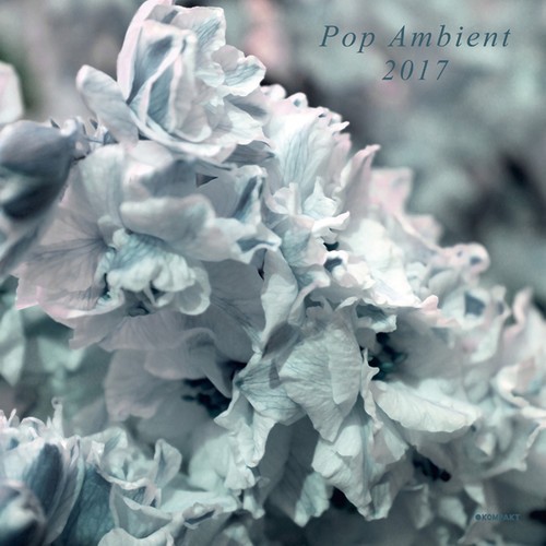 Blandade Artister - Pop Ambient 2017 in the group VINYL / Bestsellers at Bengans Skivbutik AB (2098411)