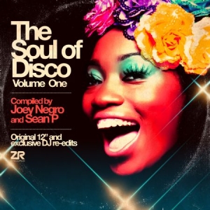 Blandade Artister - Soul Of Disco 1 in the group VINYL / RnB-Soul at Bengans Skivbutik AB (2102044)