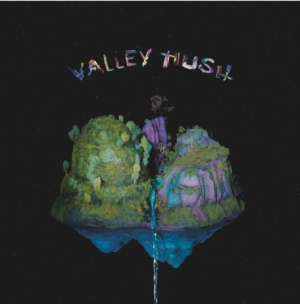 Valley Hush - Valley Hush in the group VINYL / Pop at Bengans Skivbutik AB (2108881)