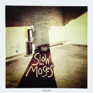 Slow Moses - Charity Binge (Blue Vinyl) in the group VINYL / Pop-Rock at Bengans Skivbutik AB (2116228)