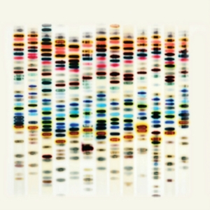 St 37 - I'm Not Good in the group CD / Pop-Rock at Bengans Skivbutik AB (2250194)