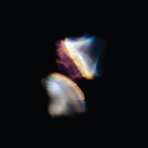 Emptyset - Borders in the group CD / Pop-Rock at Bengans Skivbutik AB (2251270)