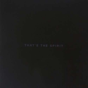 Bring Me The Horizon - That's The Spirit in the group CD / Pop-Rock at Bengans Skivbutik AB (2262308)