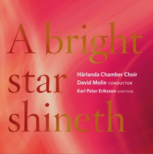 Härlanda Chamber Choir David Molin - A Bright Star Shineth in the group Externt_Lager /  at Bengans Skivbutik AB (2263673)