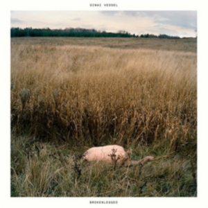 Sinai Vessel - Brokenlegged in the group VINYL / Pop-Rock at Bengans Skivbutik AB (2278936)