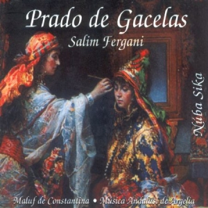 Fergani Salim - Prado De Gacelas in the group CD / Elektroniskt at Bengans Skivbutik AB (2281241)