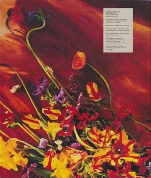 Paul McCartney - Flowers In The Dirt (Ltd 3Cd+Dvd) in the group Minishops / Paul Mccartney at Bengans Skivbutik AB (2281679)