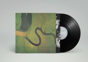 Dead Can Dance - The Serpent's Egg (Reissue) in the group VINYL / Pop-Rock at Bengans Skivbutik AB (2298711)