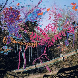 Animal Collective - Here Comes The Indian(Vinyl) in the group VINYL / Pop-Rock at Bengans Skivbutik AB (2363601)