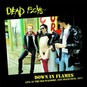 Dead Boys - Down In FlamesLive 1977 in the group CD / Rock at Bengans Skivbutik AB (2377348)