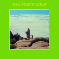 Sun Araw - The Saddle Of The Increate in the group VINYL / Pop-Rock at Bengans Skivbutik AB (2392777)