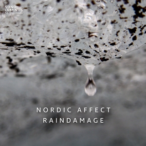 Nordic Affect - Raindamage in the group Externt_Lager /  at Bengans Skivbutik AB (2397021)