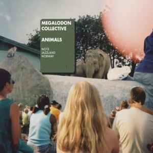 Megalodon Collective - Animals in the group CD / Jazz/Blues at Bengans Skivbutik AB (2399489)