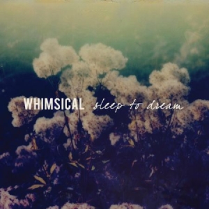 Whimsical - Sleep To Dream in the group CD / Rock at Bengans Skivbutik AB (2400142)
