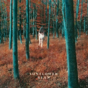 Sunflower Bean - I Hear Voices in the group VINYL / Rock at Bengans Skivbutik AB (2404709)