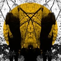 Austra - Feel It Break in the group VINYL / Pop-Rock at Bengans Skivbutik AB (2405658)