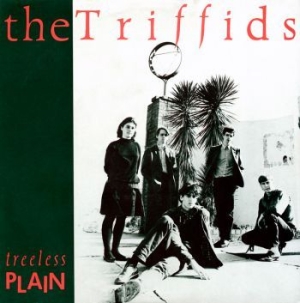 Triffids - Treeless Plain in the group CD / Rock at Bengans Skivbutik AB (2407072)