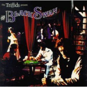 Triffids - Black Swan in the group CD / Pop-Rock at Bengans Skivbutik AB (2414252)