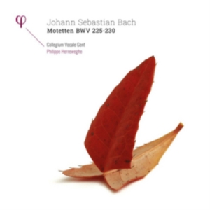 Collegium Vocale Gent Philippe Her - Motetten Bwv 225-230 (2 Lp) in the group Externt_Lager /  at Bengans Skivbutik AB (2414352)