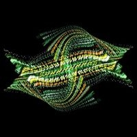 Bogus Order - Zen Brakes Vol. 2 in the group CD / Upcoming releases / Dance/Techno at Bengans Skivbutik AB (2414833)
