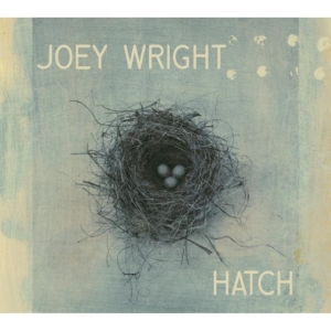 Wright Joey - Hatch in the group CD / Pop-Rock at Bengans Skivbutik AB (2417819)