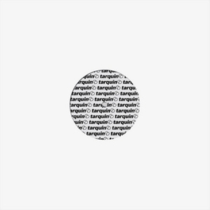 Tarquin - Odyshape in the group VINYL / Dance-Techno at Bengans Skivbutik AB (2426952)
