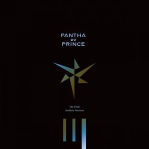 Pantha Du Prince - The Triad (Ambient Versions) in the group VINYL / Pop-Rock at Bengans Skivbutik AB (2430101)