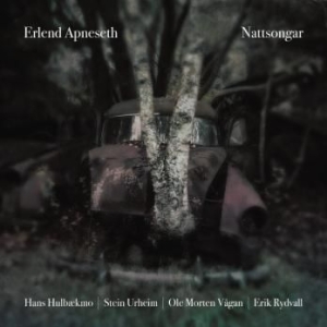 Apneseth Erlend - Nattsongar in the group CD / Jazz/Blues at Bengans Skivbutik AB (2430438)