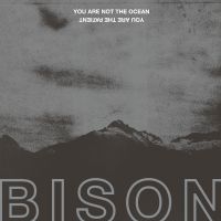 Bison - You Are Not The Ocean You Are The P in the group VINYL / Bestsellers at Bengans Skivbutik AB (2437222)
