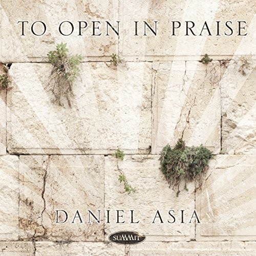 Asia Daniel - To Open In Praise in the group OTHER / Övrigt / at Bengans Skivbutik AB (2478489)