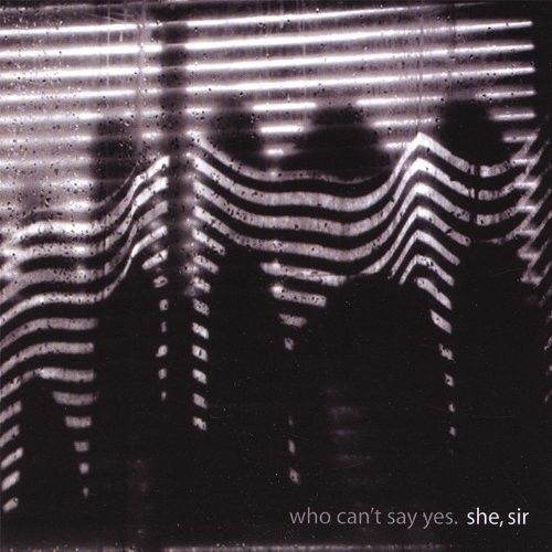 She Sir - Who Can't Say Yes in the group VINYL / Rock at Bengans Skivbutik AB (2478655)