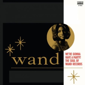 Blandade Artister - We're Gonna Have A Party! Soul Of W in the group OUR PICKS / Classic labels / Sundazed / Sundazed Vinyl at Bengans Skivbutik AB (2479818)