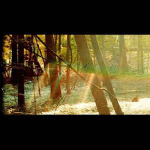 Childish Gambino - Camp in the group OUR PICKS / Bengans Staff Picks / Handpicked hip-hop through the years at Bengans Skivbutik AB (2486153)