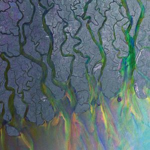 Alt-J - An Awesome Wave in the group VINYL / Pop-Rock at Bengans Skivbutik AB (2516602)