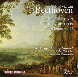 David Zinman - String Quintet Op.29/Piano Qartet Op.16/Great Fugue in the group CD / Klassiskt,Övrigt at Bengans Skivbutik AB (2517446)