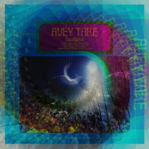 Avey Tare - Eucalyptus in the group VINYL / Pop-Rock at Bengans Skivbutik AB (2519789)