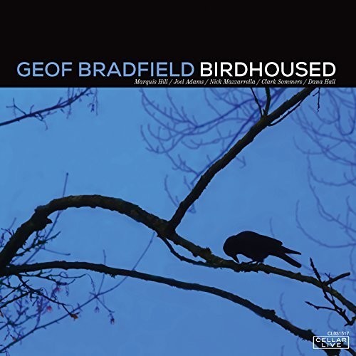 Bradfield Geof - Birdhoused in the group CD / Jazz/Blues at Bengans Skivbutik AB (2520017)