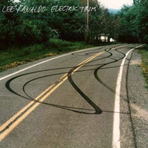 Ranaldo Lee - Electric Trim in the group CD / Rock at Bengans Skivbutik AB (2520064)