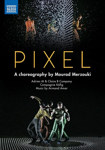Various - Pixel (Dvd) in the group Externt_Lager / at Bengans Skivbutik AB (2527353)