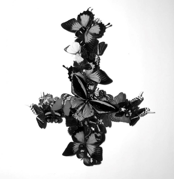 Monarch - Never Forever in the group VINYL at Bengans Skivbutik AB (2537196)