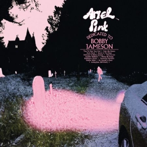 Ariel Pink - Dedicated To Bobby Jameson - Ltd.Ed in the group VINYL / Rock at Bengans Skivbutik AB (2538426)