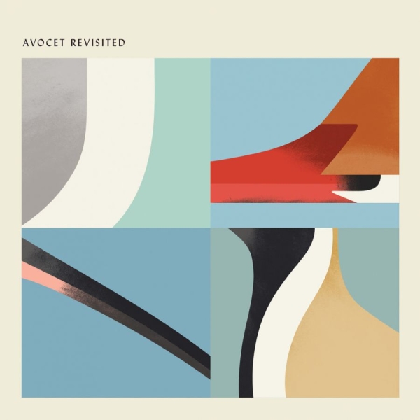 Various Artists - Avocet Revisited in the group VINYL / Bestsellers at Bengans Skivbutik AB (2538492)